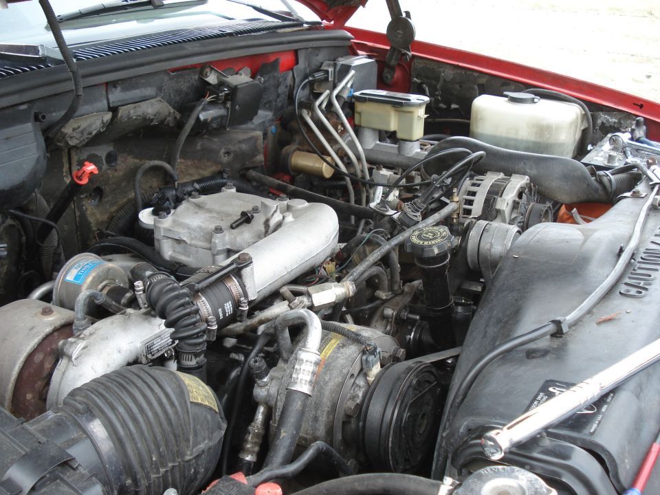 Engine bay with various hoses, belts, and engine components visible