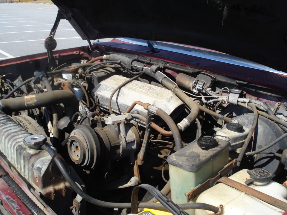 Red 1989 Ford F-250 engine bay with hoses, belts, and engine components visible