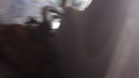 1994 Ford Bronco - A blurry close-up shows a metallic component, likely part of a vehicle's cooling system.