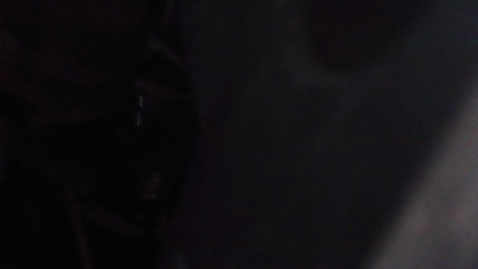 Dark engine bay with some hoses visible