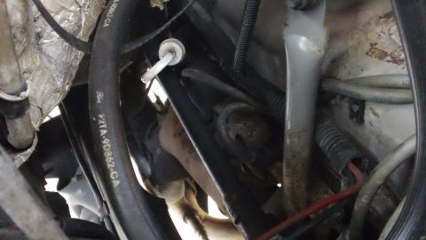 1994 Ford Bronco - Close-up view of engine bay components, including a Ford-branded hose, with visible wiring and metal parts.