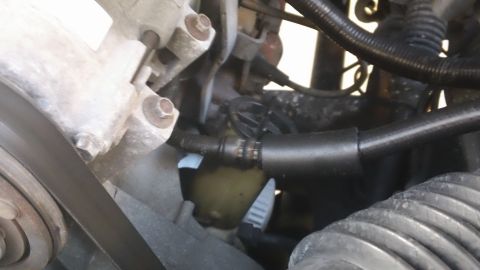 1994 Ford Bronco - Close-up view of engine cooling system parts, including hoses and a reservoir.