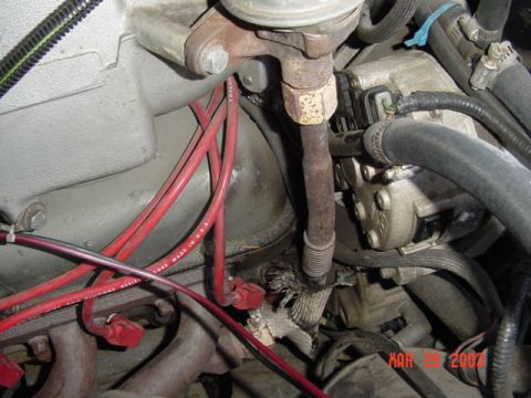 1989 Ford Bronco - Close-up view of engine components, including spark plug wires and exhaust manifold.