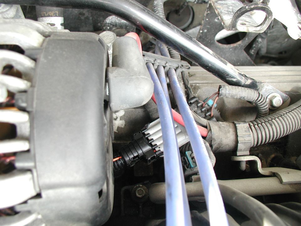 Engine bay close-up of coil pack with blue spark plug wires and connectors