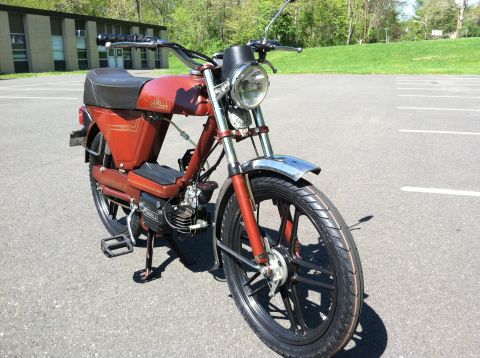 1981 Garelli Rally Sport - A red moped is shown from the front in an outdoor parking lot.