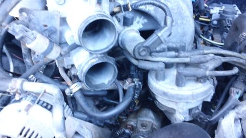 1994 Ford Bronco - Close-up view of engine components, including the intake manifold and distributor cap.