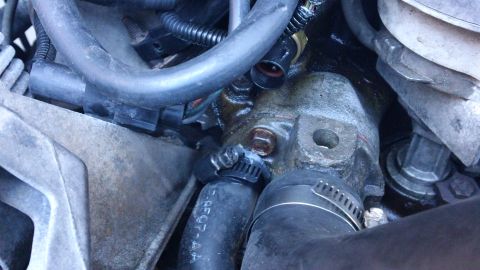 1994 Ford Bronco - Close-up view of an engine's cooling system components, including hoses and a sensor.