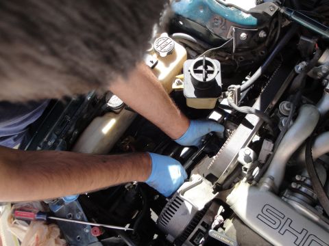 1995 Ford Taurus - Mechanic's hands, protected by blue gloves, are actively engaged in servicing the engine bay, focusing on belts and various mechanical part…