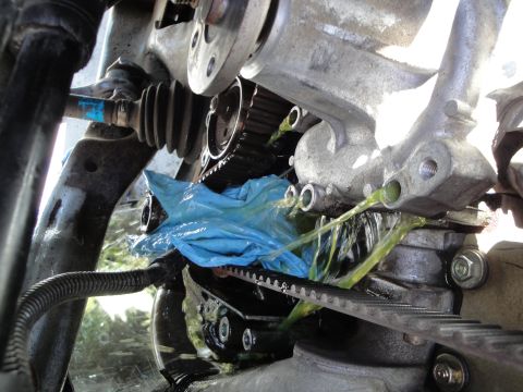 1995 Ford Taurus - Green fluid is leaking from the engine onto the timing belt and a blue plastic bag.