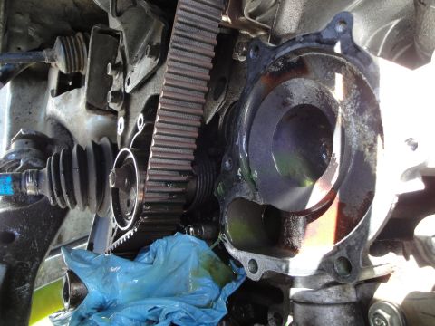1995 Ford Taurus - Close-up view of a vehicle's engine timing belt and water pump assembly, showing internal components and some green fluid.