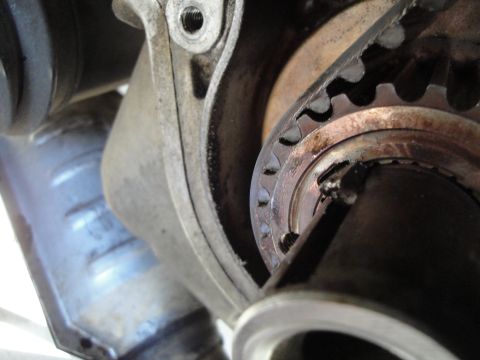 1995 Ford Taurus - Close-up view of a timing belt and pulley system, showing wear on the belt teeth.