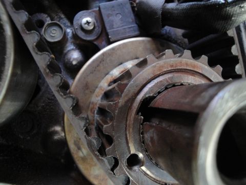 1995 Ford Taurus - A close-up view of the engine's timing belt and associated gears, showing wear and tear.
