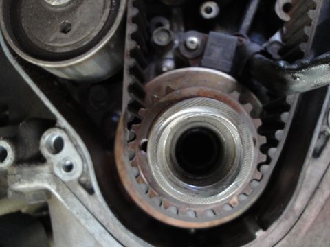 1995 Ford Taurus - Engine timing belt and pulley system detail, showing mechanical components.