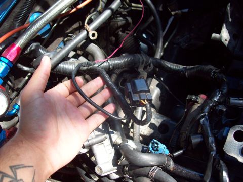 1992 Eagle Talon “Bluebird”