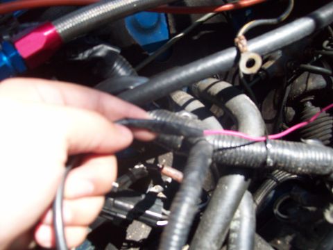 1992 Eagle Talon “Bluebird”