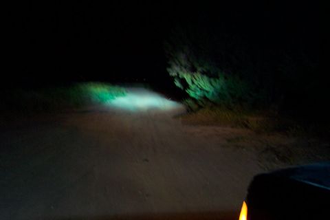 1995 Ford Bronco - Headlights cut through the darkness, illuminating a dirt path and surrounding vegetation.