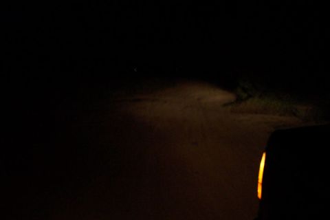 1995 Ford Bronco - A vehicle's headlight cuts through the darkness, illuminating a dirt road and a small portion of the vehicle itself.