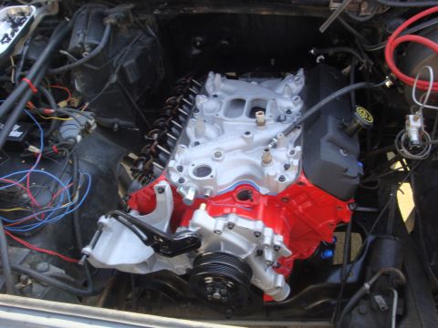 1989 Ford Bronco - The engine bay shows a V8 engine that has been recently painted and is ready for installation.