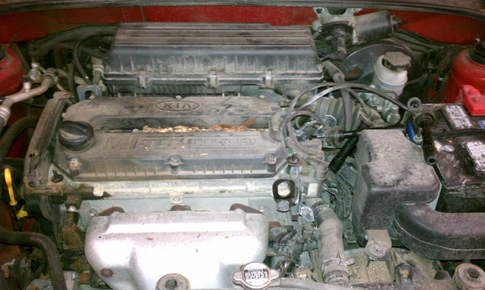 Engine bay of a Kia, showing the top of the engine with "KIA" and "16V" visible