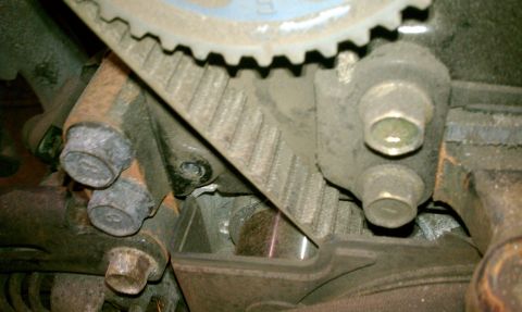 1999 Ford Expedition - Close-up view of engine timing belt and associated hardware.