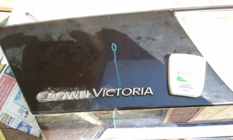 1998 Ford Crown Victoria - A friend suggested using dental floss to remove emblem..it worked great