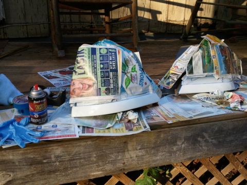 1998 Ford Crown Victoria - after painting both rear tail lights
