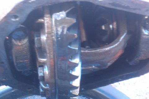 1996 Ford Bronco - A close-up view of internal differential gears, indicating mechanical components within a vehicle.