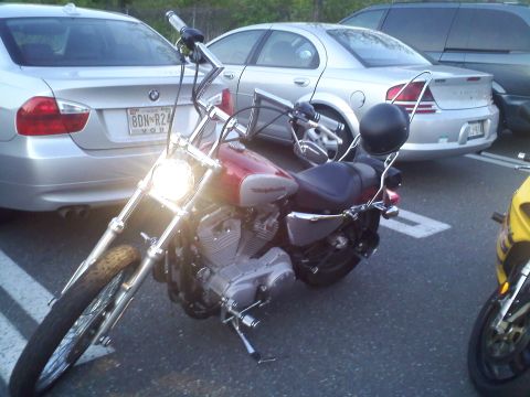 2004 Harley-Davidson Sportster Custom - A red and silver motorcycle is parked in front of cars.