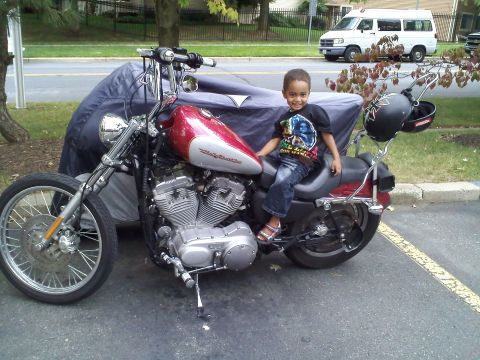 2004 Harley-Davidson Sportster Custom - A child is seated on a parked 2004 Harley-Davidson Sportster Custom motorcycle.