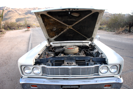 1965 Ford Fairlane - A white 1965 Ford Fairlane is parked outdoors with its hood open, revealing the engine and front grille.