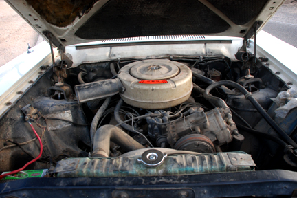 1965 Ford Fairlane - The engine bay of a 1965 Ford Fairlane, its V8 engine and air cleaner assembly.
