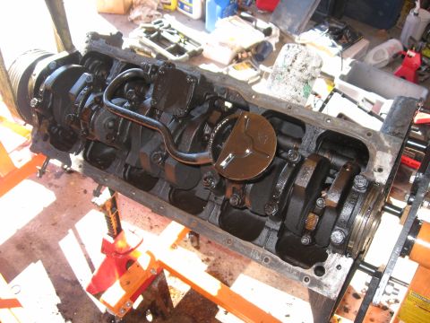 1981 Ford Bronco - Engine block assembly with crankshaft and oil pump components visible, on an engine stand.