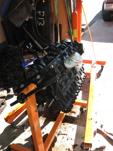 1981 Ford Bronco - A V8 engine is mounted on an engine stand, ready for work or installation.