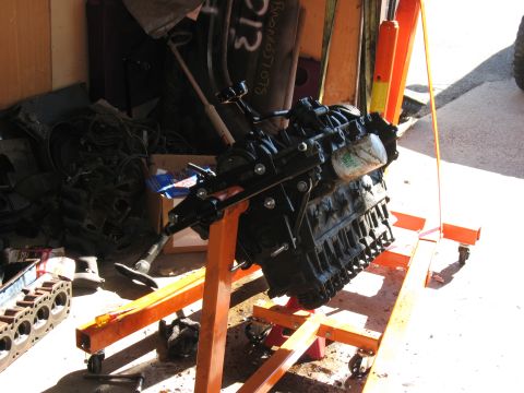 1981 Ford Bronco - An engine is mounted on a stand, with various automotive parts scattered around.