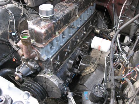 1981 Ford Bronco - Close-up view of a V8 engine, showing the oil filter and surrounding components.