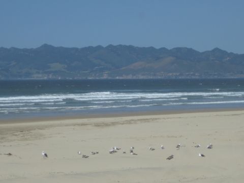 1989 Ford Bronco - A coastal landscape a sandy beach, ocean waves, scattered seagulls, and rolling hills in the background.