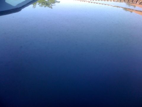 1985 Ford Mustang - Reflection of trees and a fence on a dark blue car hood.