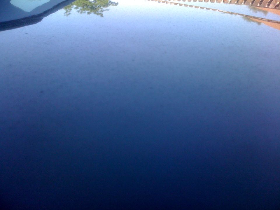 Reflection of trees and a fence on a dark blue car hood