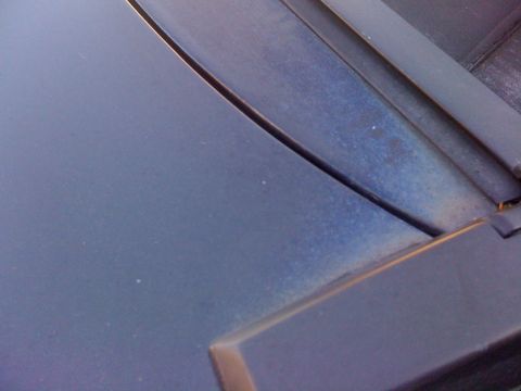 1985 Ford Mustang - The paint on this car's hood shows some wear and dust accumulation.