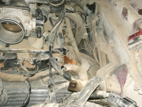 1998 Ford Crown Victoria - Close-up view of the engine bay, showing the throttle body and numerous wires and hoses.