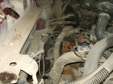 1998 Ford Crown Victoria - Close-up view of engine bay components, showing a complex network of hoses and wiring covered in dust.