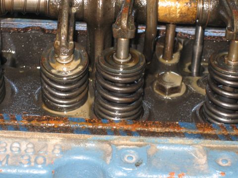 1998 Ford Crown Victoria - Macro view of oily valve springs on a blue cast engine head, with partial casting numbers visible at bottom.