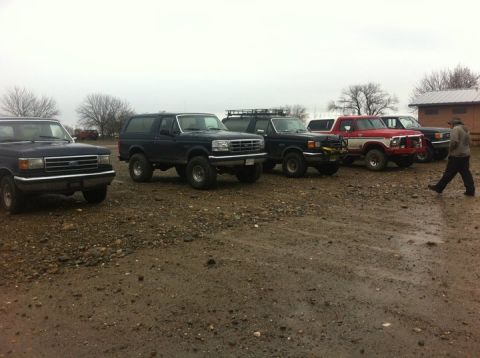 1990 Ford Bronco - Several Ford Broncos and other trucks are parked in an outdoor lot under an overcast sky.