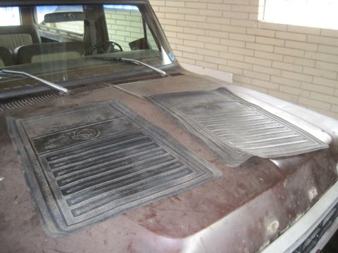 1979 Ford Bronco - Two floor mats are placed on the hood of a vehicle, obscuring the body style.