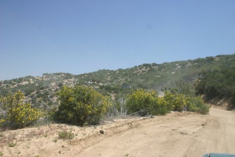 1991 Ford Bronco - Two off-road vehicles navigate a dusty dirt road through a scrub-covered hillside under a clear blue sky.