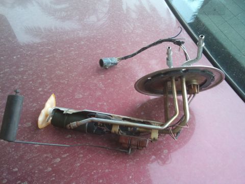 1998 Ford Crown Victoria - Fuel pump assembly removed from a vehicle, resting on a surface.