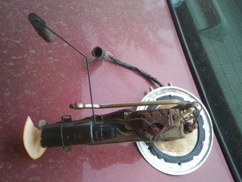 1998 Ford Crown Victoria - A disassembled fuel pump assembly rests on a vehicle's exterior panel.