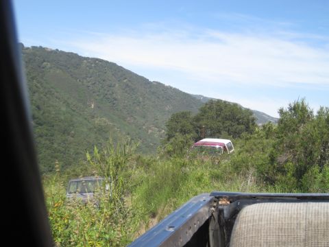 1989 Ford Bronco - Two SUVs are seen off-road, partially concealed by overgrown vegetation on a sunny day.
