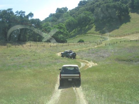 1989 Ford Bronco - Two SUVs navigate a winding dirt path through a sun-drenched grassy hillside.