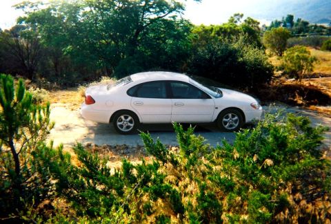 2000 Ford Taurus - A white 2000 Ford Taurus sedan is parked on a dirt road surrounded by greenery.